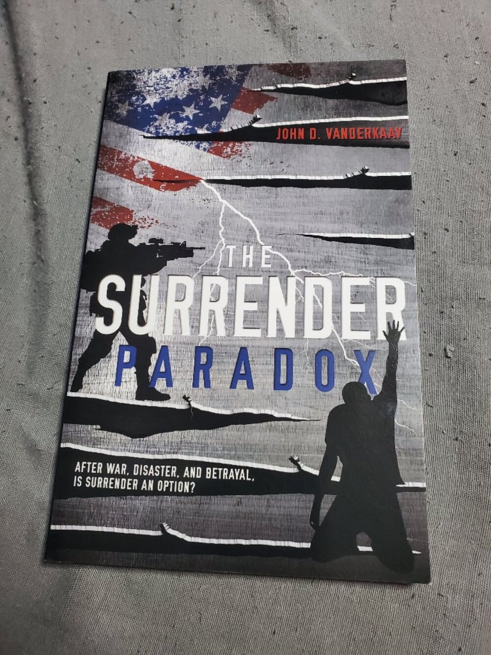 The Surrender Paradox by John D. VanDerkaay (2013, Trade Paperback)